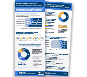 2021 Cloud Security & Safety Report Infographic
